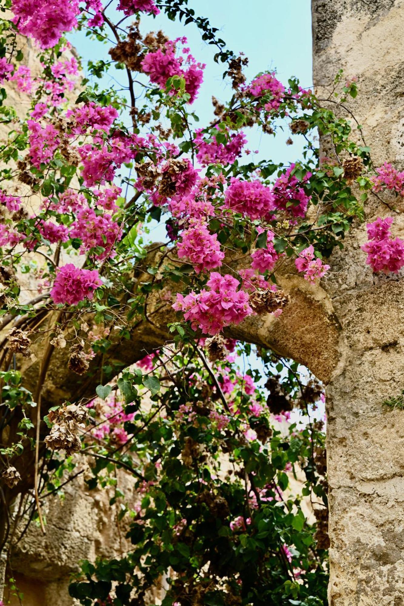 Rhodes CityPenelope Garden House Old Townアパートメント エクステリア 写真