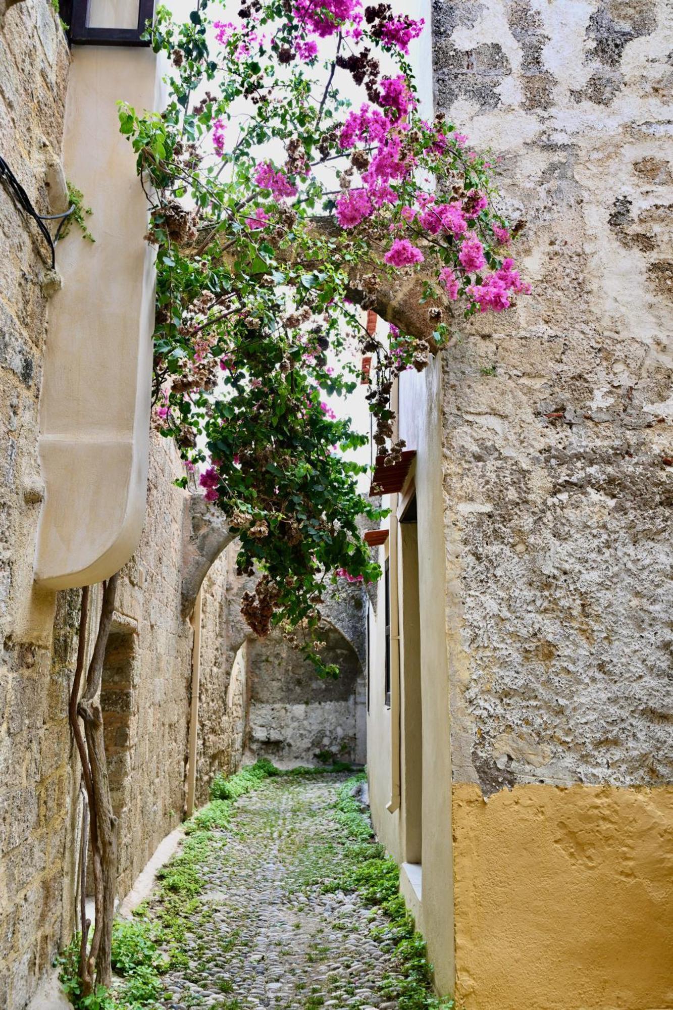 Rhodes CityPenelope Garden House Old Townアパートメント エクステリア 写真
